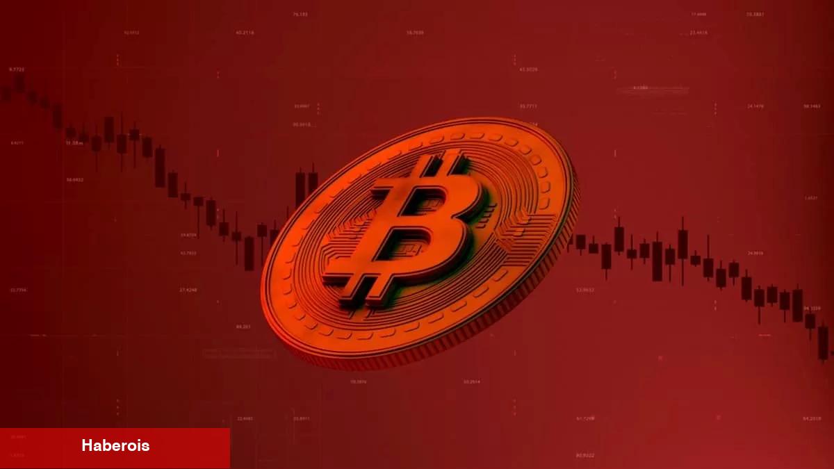 Bir Sonraki Boğa Piyasasında Hangi Altcoinler Alınmalı?