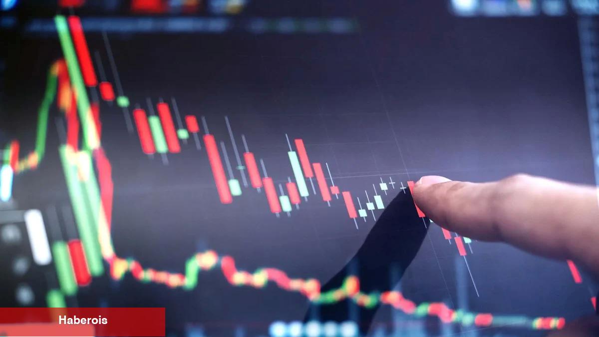 Bir Sonraki Boğa Piyasasında Hangi Altcoinler Alınmalı?