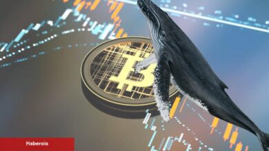 Bitcoin balinasının cüzdanında sıra dışı hareketler!