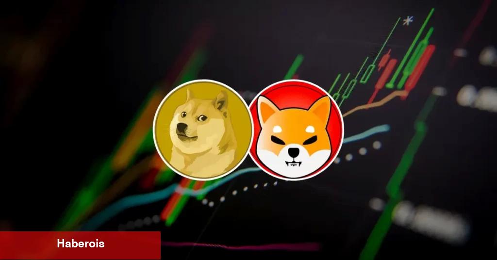 Bitcoin, SHIB ve ETH Haziran’da Bu Düzeylerde Olabilir!