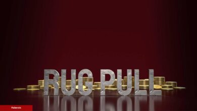 Bu 10 Altcoin İçin İkaz Yayınlandı: Rug Pull Var!