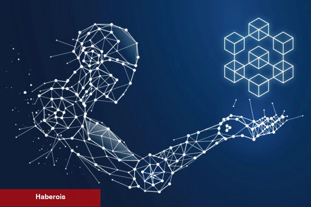Bu 12 Altcoin Not Alınmalı: On-Chain’de Liderler!