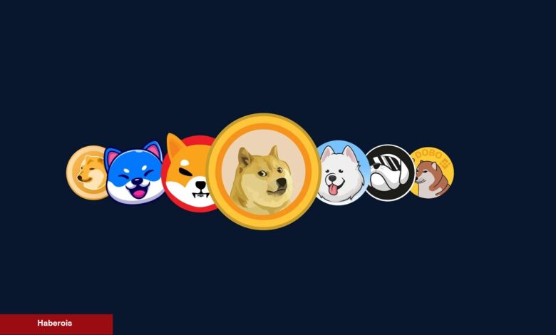 Bu Göğüs Coin Yatırımcısı Kısa Müddette Servet Kaybetti! - Haberois Bu Göğüs Coin Yatırımcısı Kısa Müddette Servet Kaybetti!