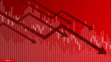 Bu Göğüs Coinler Apansız Çöktü! Sebebi Nedir?