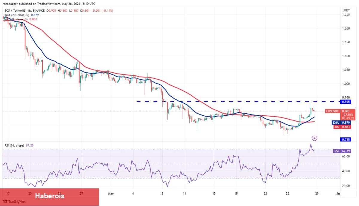 Bu Hafta Fokuslanılacak 4 Altcoin ve Kritik Tahminler!