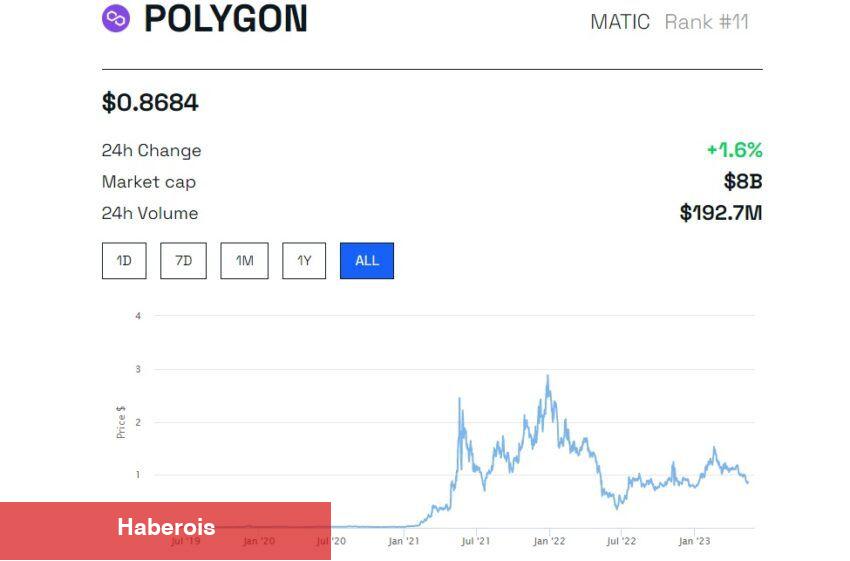 ‘Büyük Potansiyele Sahip’ 5 Altcoin Belirlendi! İşte Liste