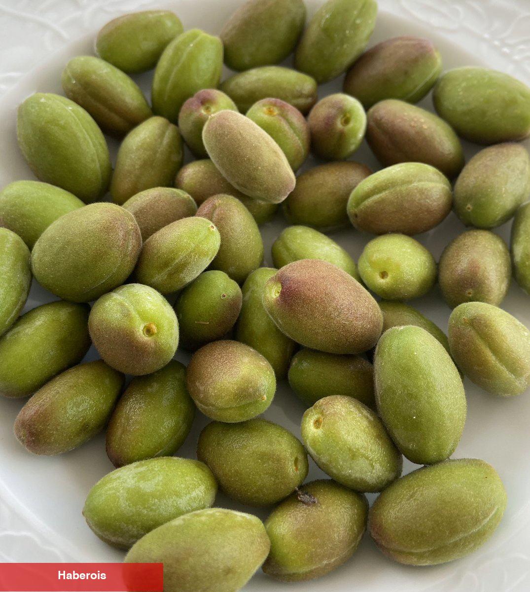 Çağla meyvesinin yararları nelerdir? Çağla nasıl tüketilir? Çağla tuzla bir arada yenir mi?