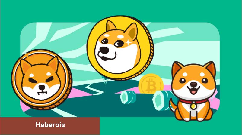 Danışmanlık Devi: Göğüs Coinleri Unutun! Bu 3 Altcoin Patlar!