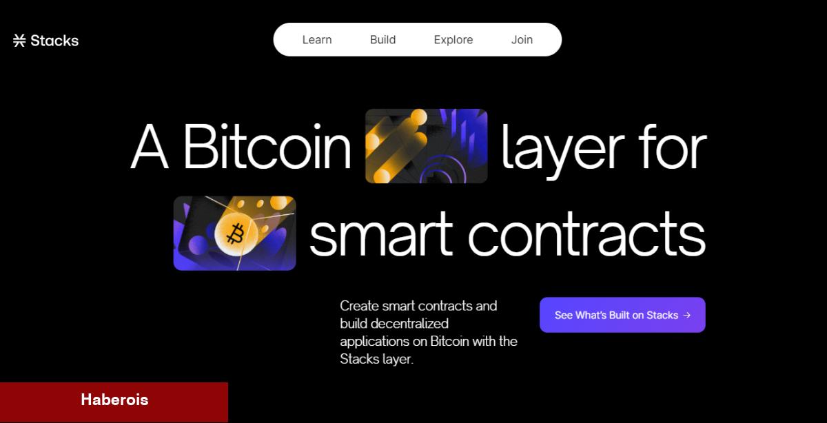 Danışmanlık Şirketi: Kriptoda Bir Sonraki Büyük Şey Bu Altcoin!