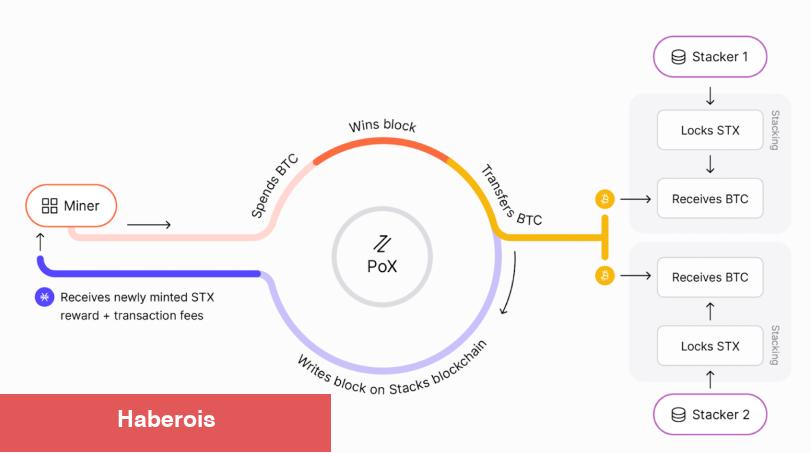 Danışmanlık Şirketi: Kriptoda Bir Sonraki Büyük Şey Bu Altcoin!