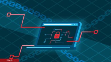 Dikkat: Bu Kripto Para Platformunda Güvenlik Açığı Var!