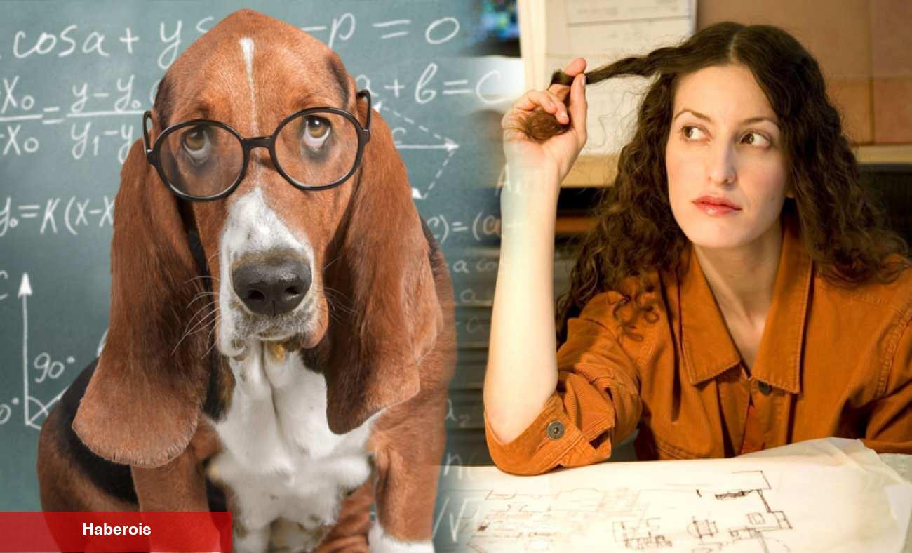 Dikkat eksikliği neden olur? Dikkat eksikliği nasıl geçer? Hiperaktivite Bozukluğu (DEHB)...