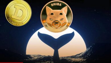 DOGE, SHIB ve LADYS Borsalara Taşınıyor! Satış mı Var?