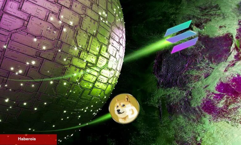 DOGE ve Bu 11 Altcoin İçin Son Dakika: Paydaşlık da Var! - Haberois DOGE ve Bu 11 Altcoin İçin Son Dakika: Paydaşlık da Var!