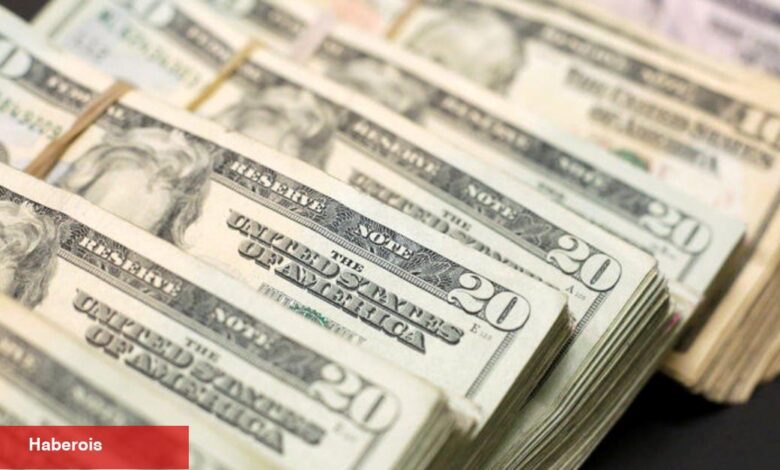 Dolar/TL'de oynaklık 16 ayın tepesinde - Haberois Dolar/TL'de oynaklık 16 ayın tepesinde
