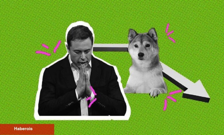 Elon Musk Açıklama Yaptı: DOGE Birdenbire Hareketlendi! - Haberois Elon Musk Açıklama Yaptı: DOGE Birdenbire Hareketlendi!