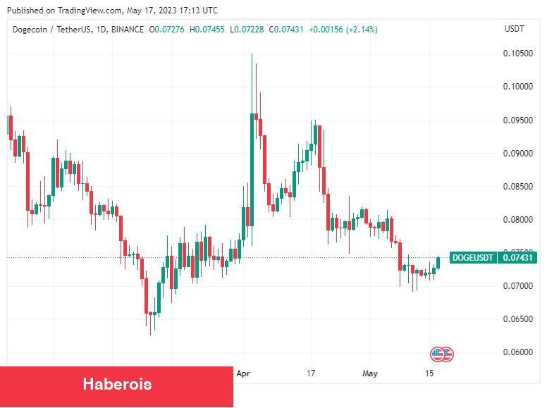 Elon Musk Tweetiyle Bu Altcoin Fiyatını Uçurdu!