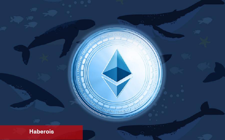 Ethereum Satan Balinalar, Bu Göğüs Coine Saldırdı!