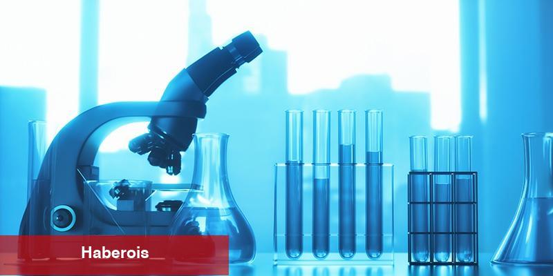Evlilik öncesi tarama testi nedir? Akdeniz anemisiyle çabayı kolaylaştırıyor