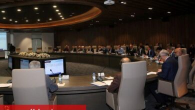 Ford Otosan araçları deniz yoluyla İstanbul’a taşınacak