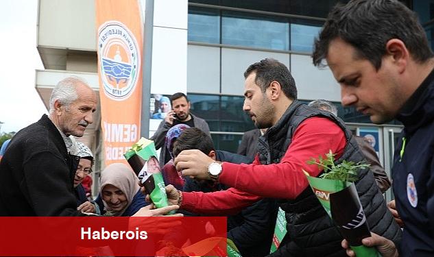 Gemlik Belediyesi, çiftçi belediye misyonuyla ilçedeki tarımsal faaliyetleri desteklemeye devam ediyor - Haberois Gemlik Belediyesi, çiftçi belediye misyonuyla ilçedeki tarımsal faaliyetleri desteklemeye devam ediyor