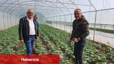 Gemlik Belediyesi'nde organik tarım çalışmaları sürüyor