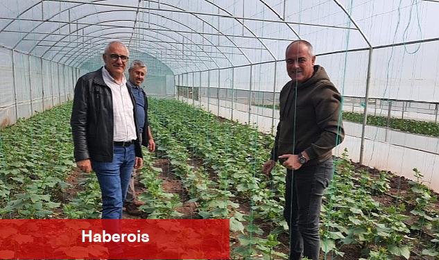 Gemlik Belediyesi'nde organik tarım çalışmaları sürüyor - Haberois Gemlik Belediyesi'nde organik tarım çalışmaları sürüyor