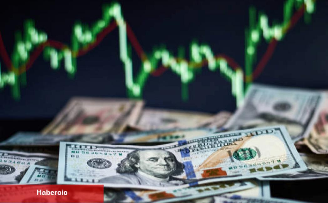 Göğüs Coin Avcısı, Bu Coinlerle 1 Milyon Dolar Kazandı!