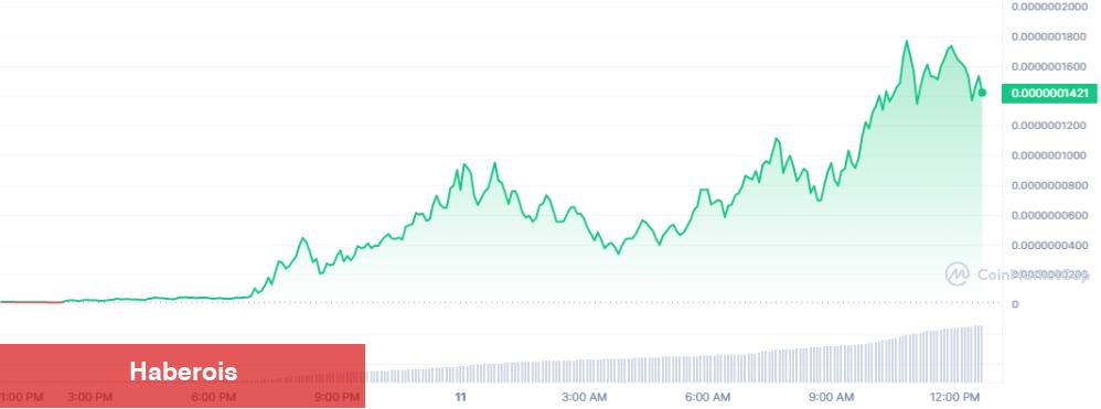 Göğüs Coin Avcısının Alımları Şaşırttı: Bu Coin’leri Stokladı!