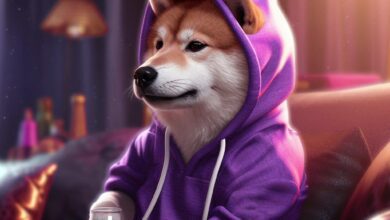 Göğüs Coin Shiba Inu Yeni Rekorunu Kırdı! Artış Mı Geliyor?