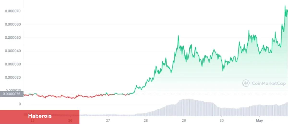 Göğüs Coin Yüzde 1.000 Arttı! Sıradaki PEPE mi?