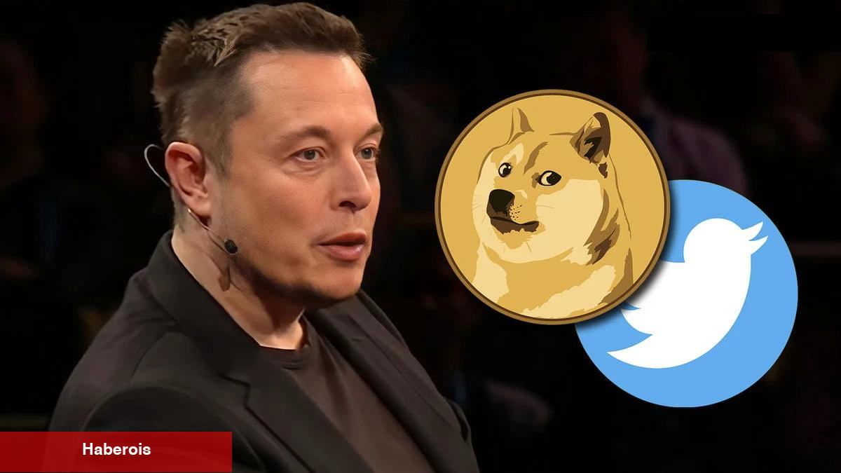 Göğüs Coin Yüzde 1.000 Arttı! Sıradaki PEPE mi?