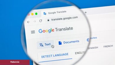 Google görsel aramalarında yapay zekanın rolünü arttırıyor!