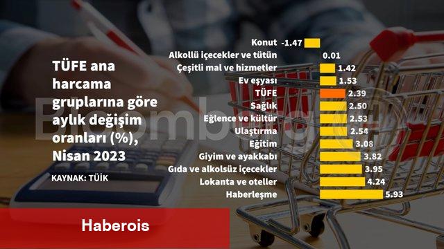 Grafiklerle Nisan enflasyonu