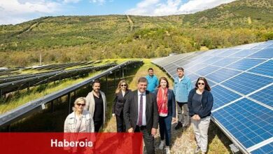 Güneş'ten Gelen Bereket