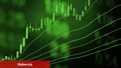 Güney Kore’den Bu 2 Altcoin İçin Müsaade: Fiyatları Fırladı!