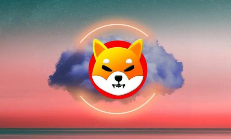 Haftaya Shiba Inu İçin Neler Bekleniyor? 3 Farklı Tahmin! - Haberois Haftaya Shiba Inu İçin Neler Bekleniyor? 3 Farklı Tahmin!
