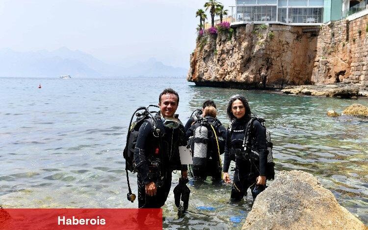 Hayalet ağ avcıları göreve hazır - Haberois Hayalet ağ avcıları göreve hazır