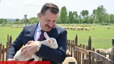 Hayvancılık atağı başladı