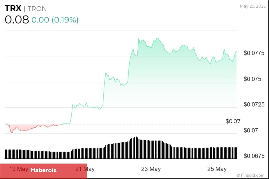 Haziran İddiası: Bu 5 Altcoin Satın Al Çığlıkları Atıyor!