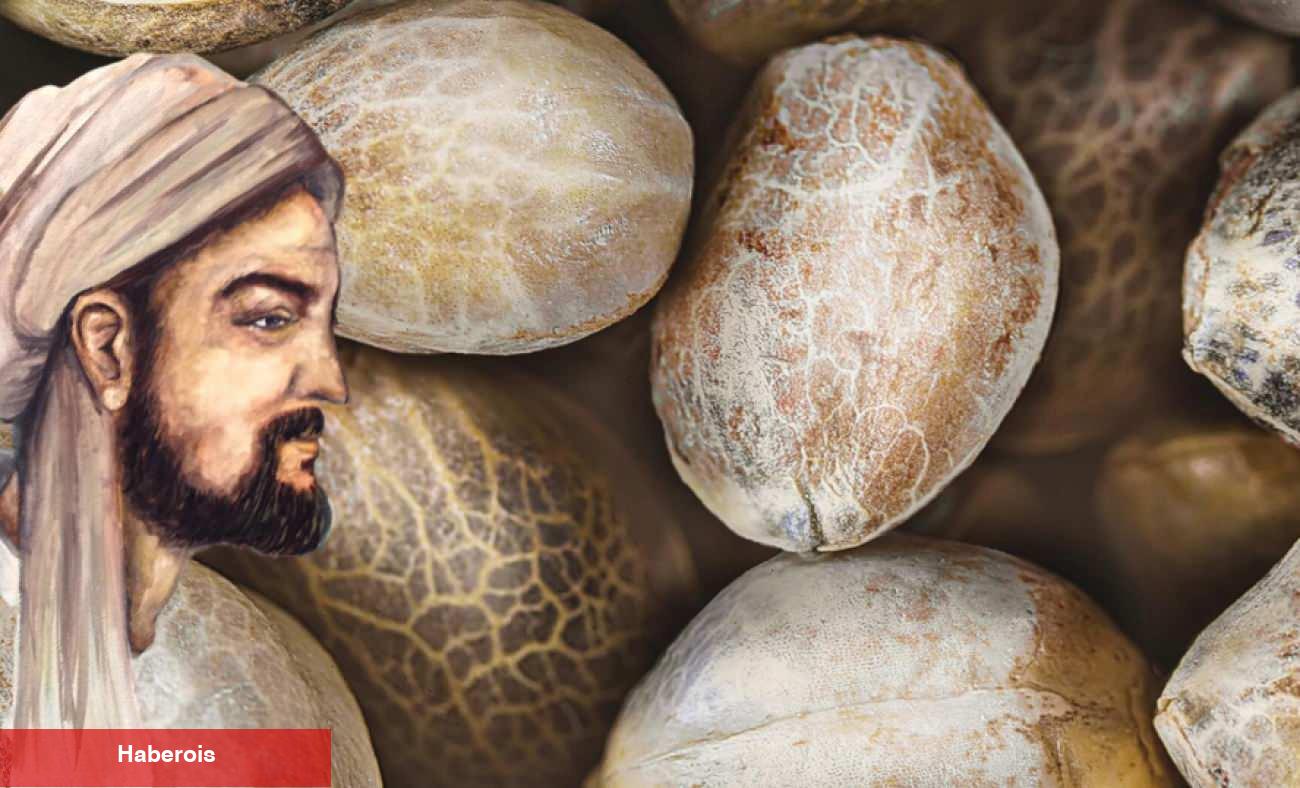 İbn-i Sina'dan 1 gecede beyaz saçları eskiye döndüren çörek otu yapı yöntemi!