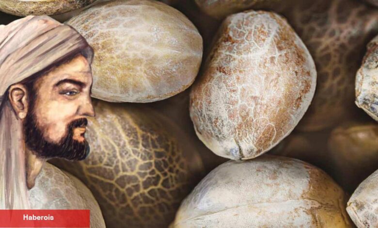 İbn-i Sina'dan 1 gecede beyaz saçları eskiye döndüren çörek otu yapı yöntemi! - Haberois İbn-i Sina'dan 1 gecede beyaz saçları eskiye döndüren çörek otu yapı yöntemi!