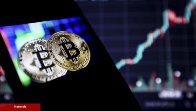 ‘İflaslar Geliyor’ Uzman: Bitcoin ve Bunlara Koşun!