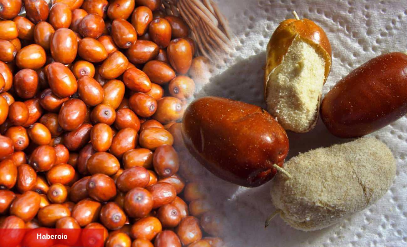 İğde Çekirdeği Tozu ne işe fayda ve yararları nelerdir? İğde Çekirdeği Tozu nasıl tüketilir?