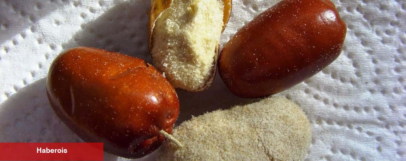 İğde Çekirdeği Tozu ne işe fayda ve yararları nelerdir? İğde Çekirdeği Tozu nasıl tüketilir?