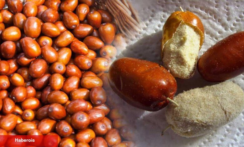 İğde Çekirdeği Tozu ne işe fayda ve yararları nelerdir? İğde Çekirdeği Tozu nasıl tüketilir? - Haberois İğde Çekirdeği Tozu ne işe fayda ve yararları nelerdir? İğde Çekirdeği Tozu nasıl tüketilir?