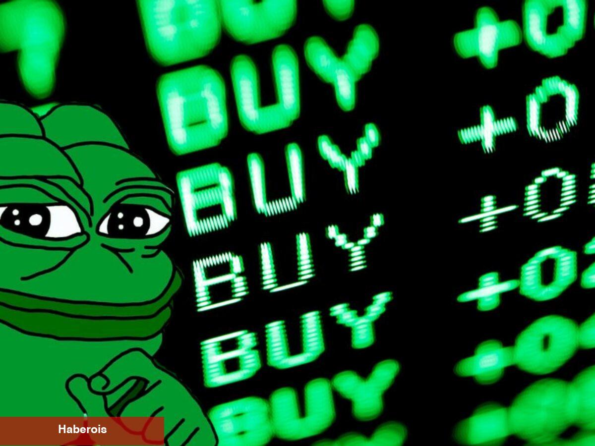 İnanılmaz Artış Gören PEPE Coin İçin 50x Müjdesi!