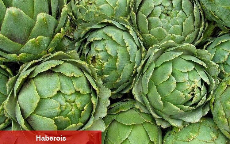 İşte enginarın bilmeniz gereken 5 faydası - Haberois İşte enginarın bilmeniz gereken 5 faydası