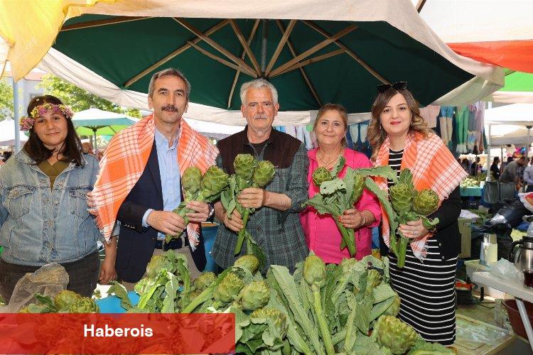 İzmir Urla enginara doydu