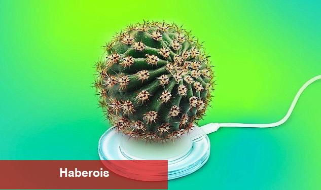Kaspersky, dijital batıl inançları araştırdı - Haberois Kaspersky, dijital batıl inançları araştırdı